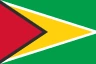 Guyana Flag