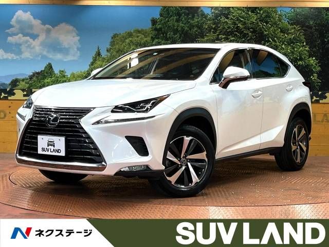                                          2017 Lexus  Nx300 I Package                                     